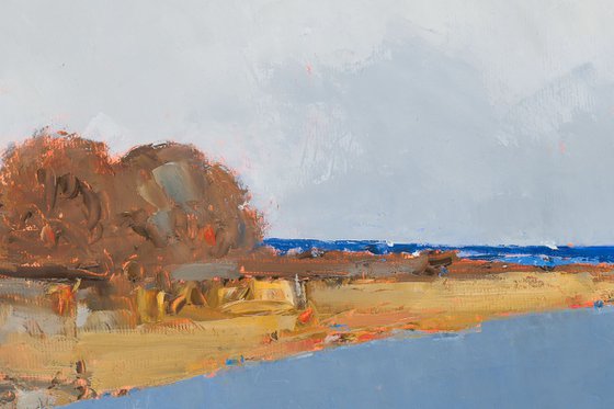 Seacoast 13
