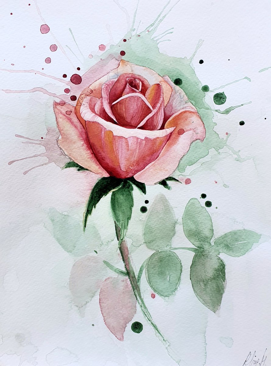 Rose by Marina Kliug