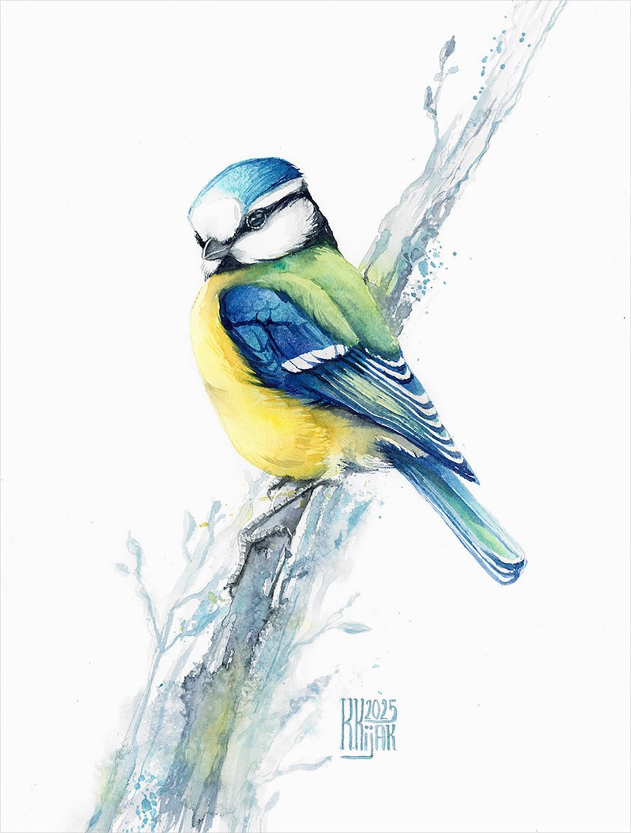 Animal Watercolour By Karolina Kijak, 12 X 16", Ble Tit, Original Artwork