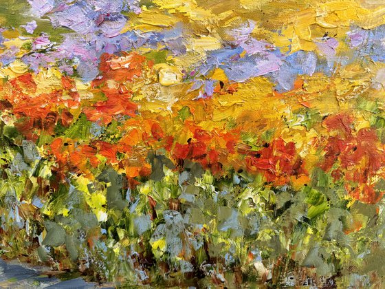 Printemps en Provence
