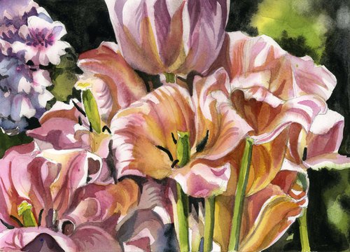 tulips in garden, spring floral by Alfred  Ng