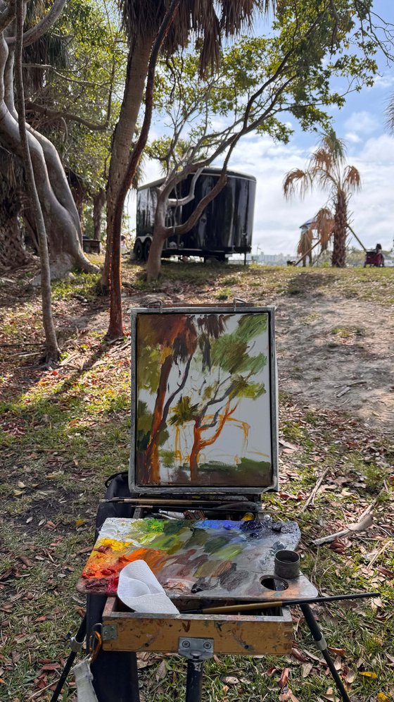 Under the Palm’s Shade