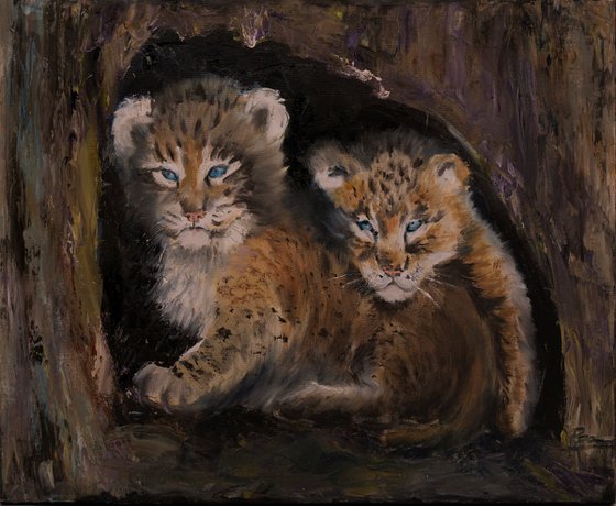 Lynx Cubs