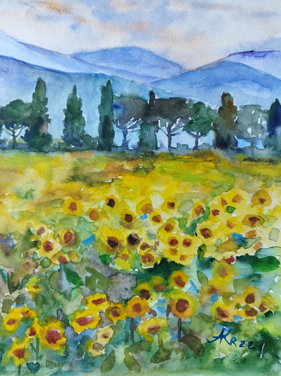 Field of yellow sunflowers