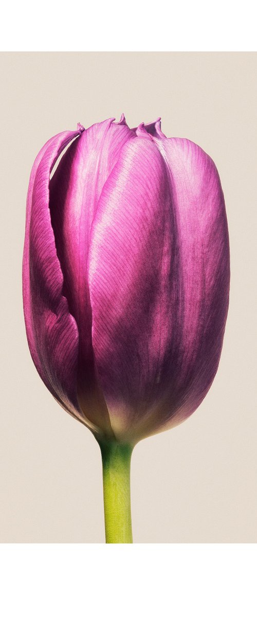 Closed Form by Louis Savage