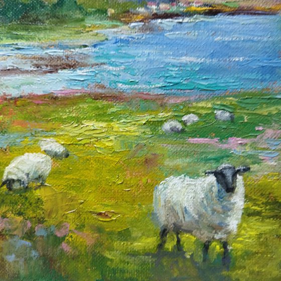 Scottish landscape with sheep