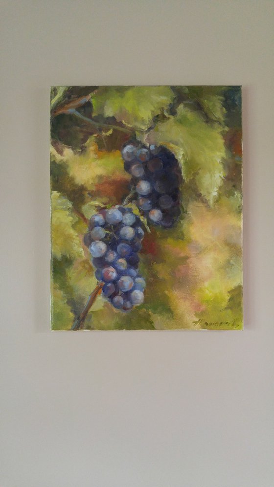 Grapes 2