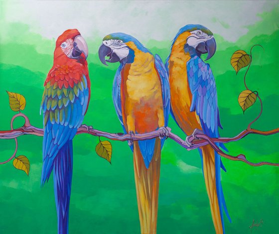 Parrots