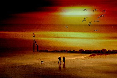 Sunset Walk by Martin  Fry