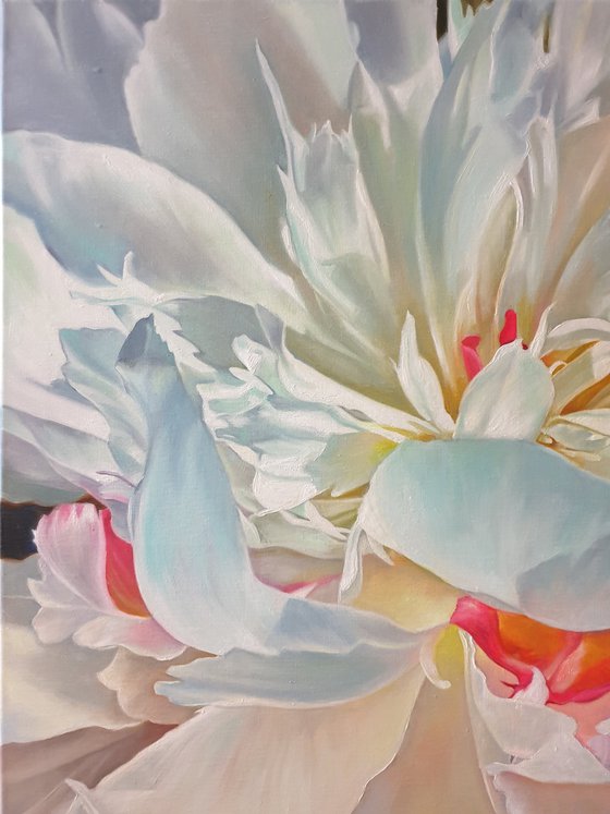 "Delicate petals. "   peonies flower 2021