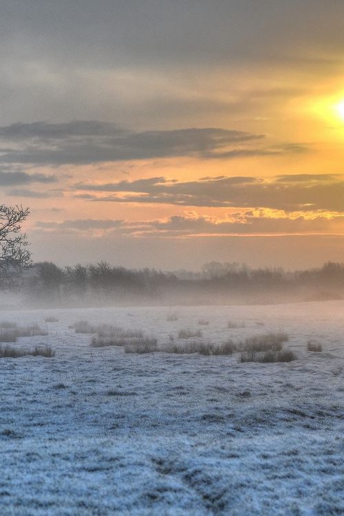 Frozen Blue - Cardboard print by Sylvain VIAU