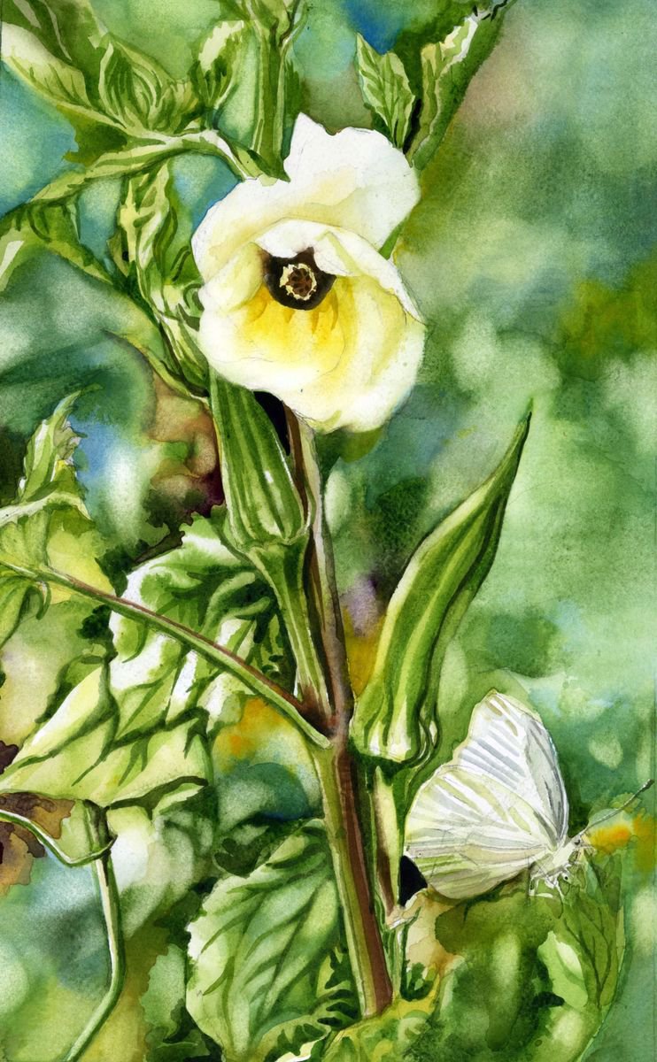 okra with cabbage white butterfly by Alfred  Ng