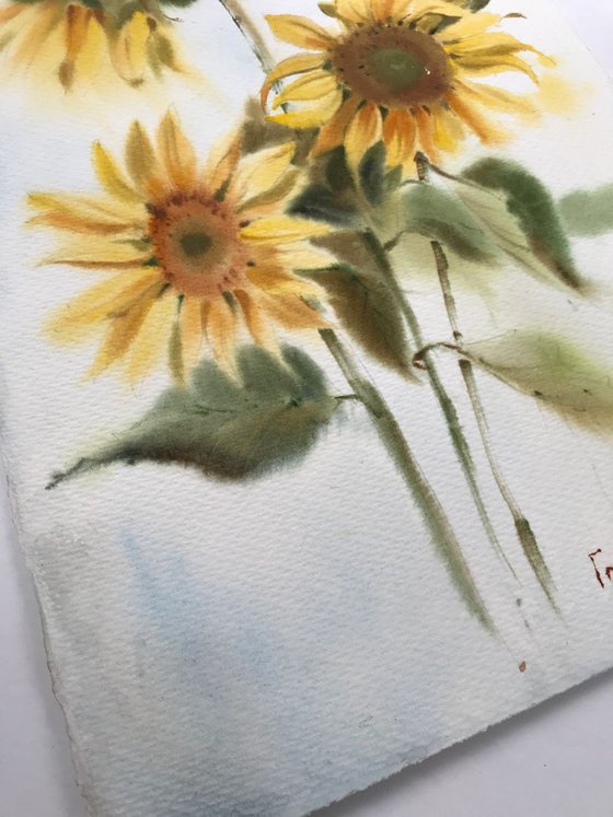 Sunflowers