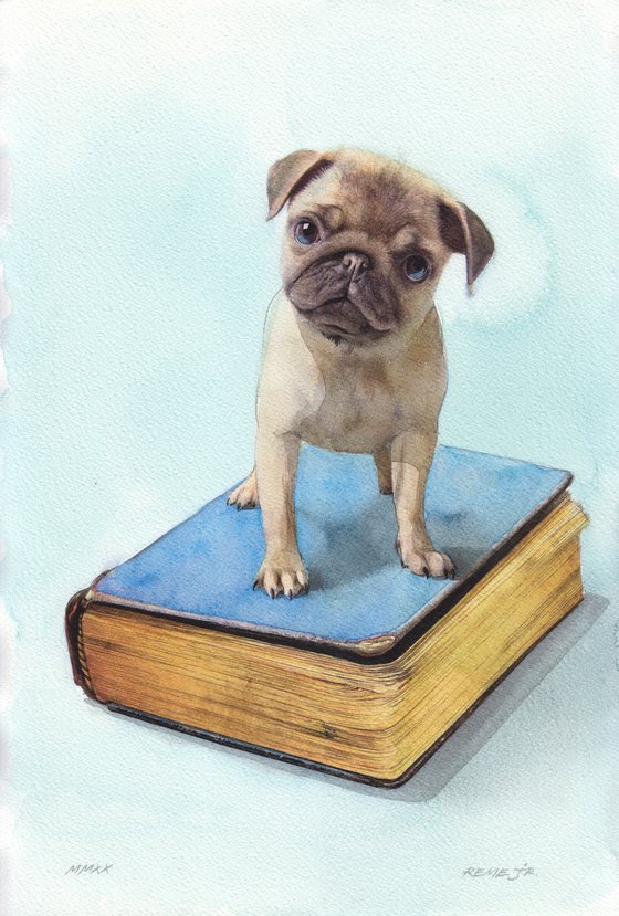 LITTLE CUTE PUG with OLD BOOK