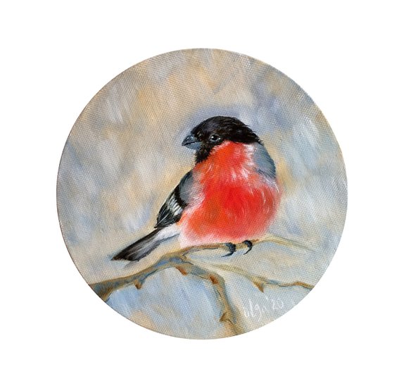 Bird portrait - Bullfinch small round canvas - Christmas gift for bird lover