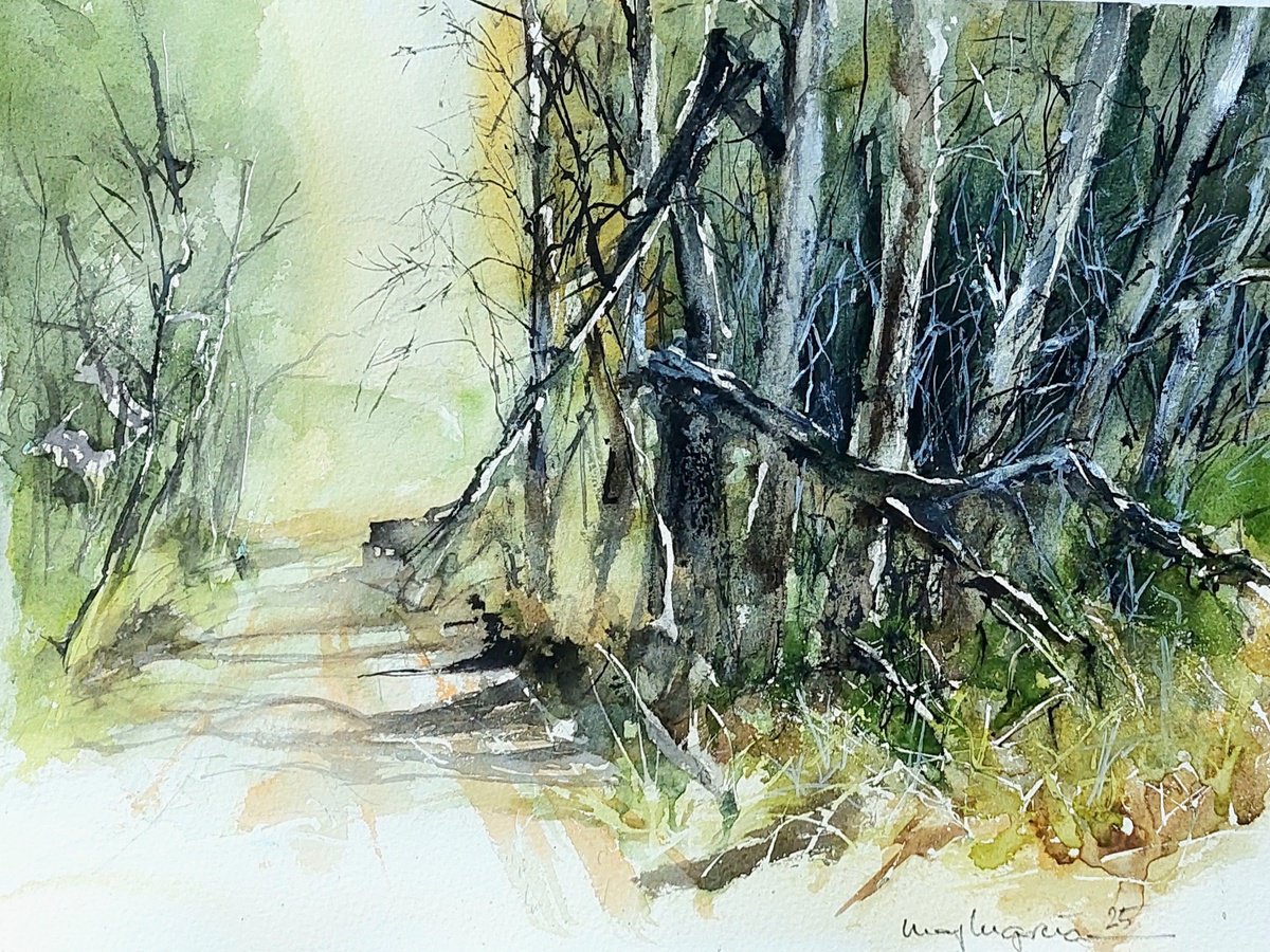 CROSSING THE FOREST by Maylu Garci?a