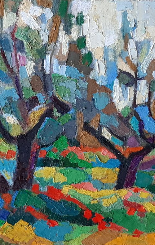 Olive grove by Maja Đokić Mihajlović