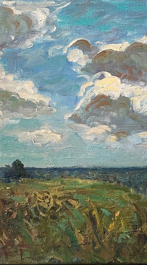 "Cloudy day" by Oleksandra Zolotarova