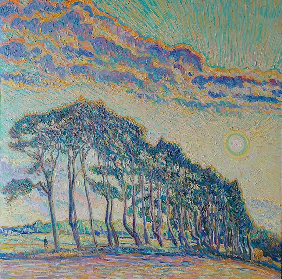 Pines at Sunset
