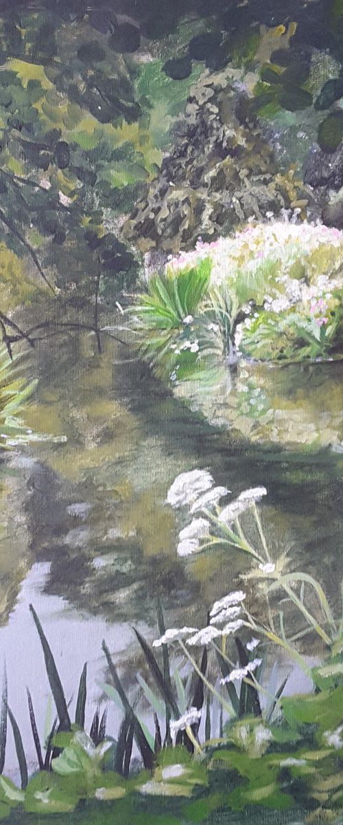 Quiet pond by Piers Braybrooke