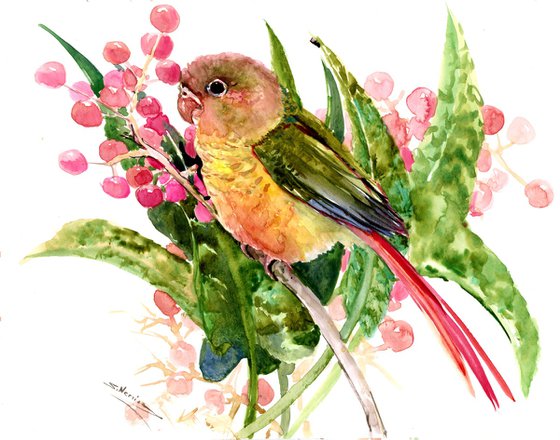 Pineapple Conure Parakeet and Tropical Foliage