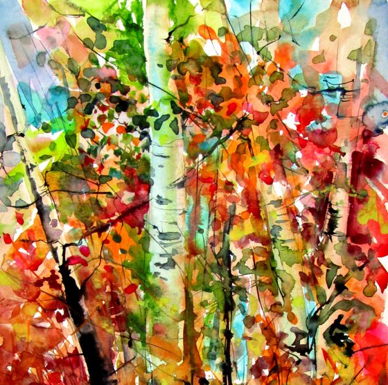 Beautiful autumn in forest