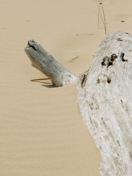 Held by Sand