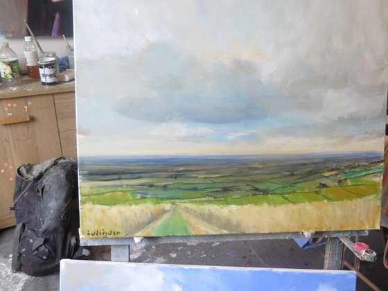 Yorkshire Wolds,  July 22