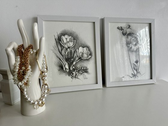 Floral vessel drawing diptych