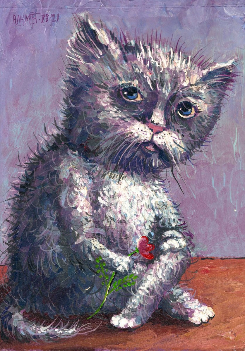 CLEVER CAT. by Rakhmet Redzhepov
