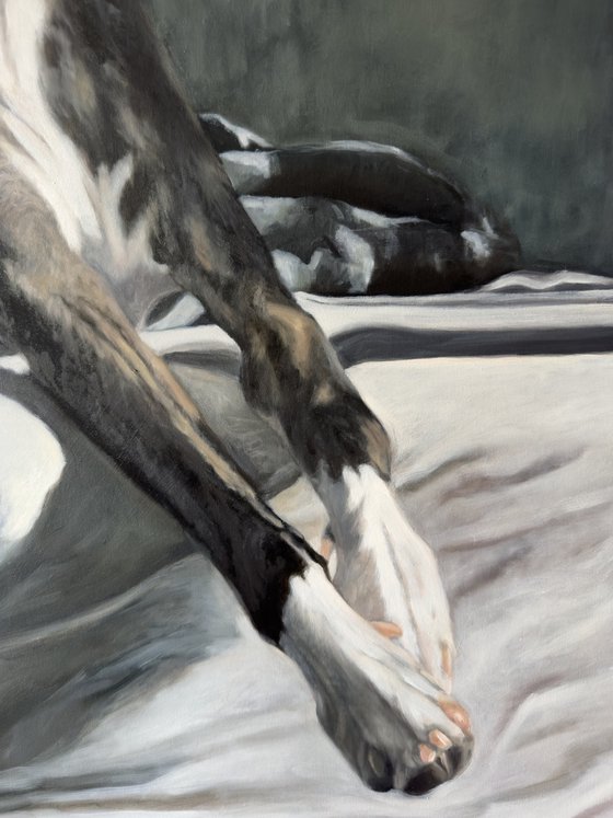 The Whippet