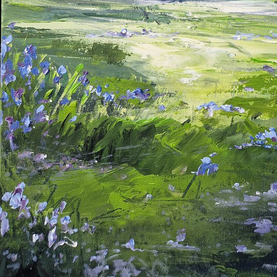 A Quiet Place to Wander