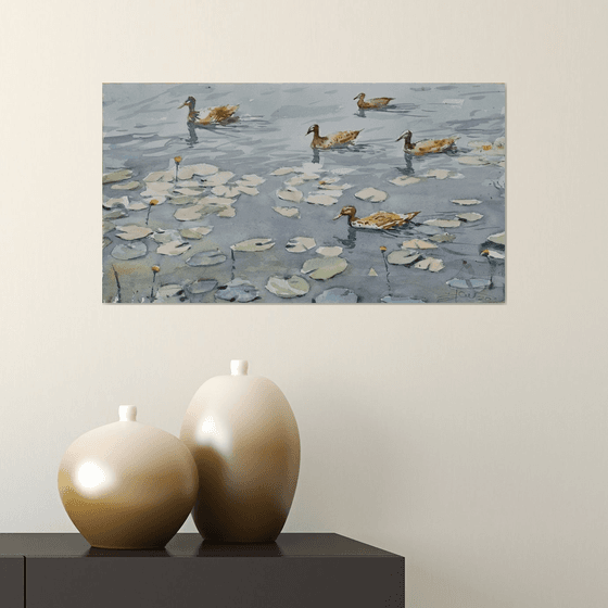 Ducks