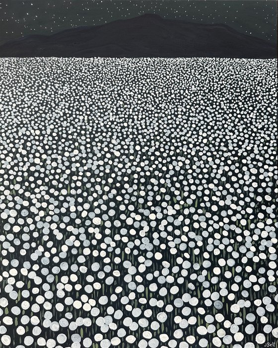 Flower Field IV