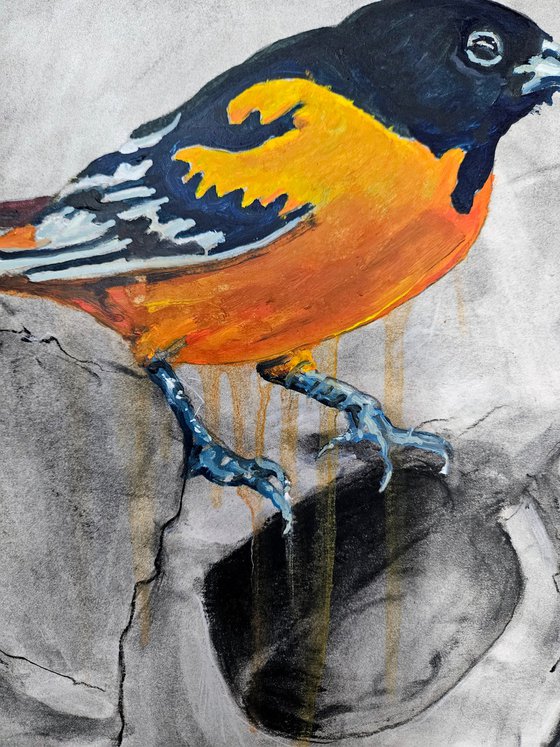 Second Skull First Lady