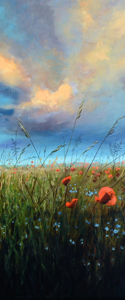 Early Evening Meadow by JON PAUL WILSON