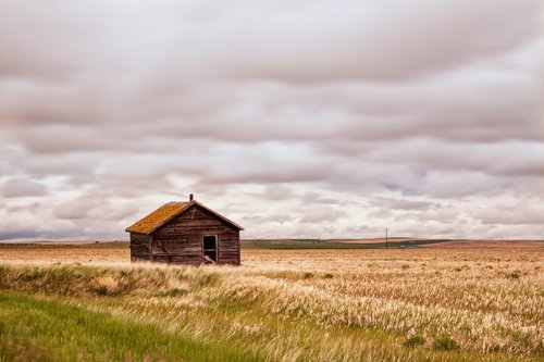 Old shack in the grassland by Karim Carella