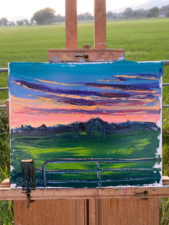 Sunset at meadow. Plein air