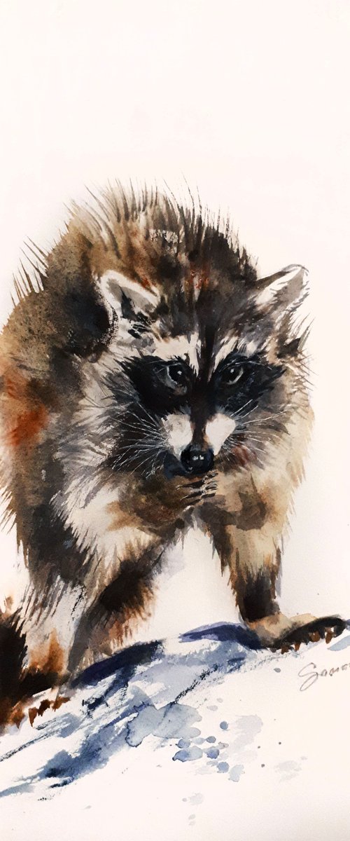Raccoon II /  ORIGINAL WATERCOLOR  PAINTING by Salana Art Gallery