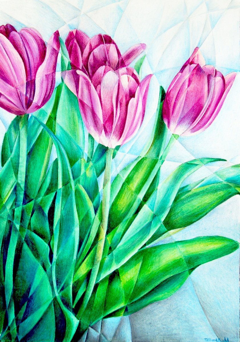 Organic Botanical Pencil Drawing By Tiffany Budd, 13 X 16", Fractured Tulips, Original Artwork