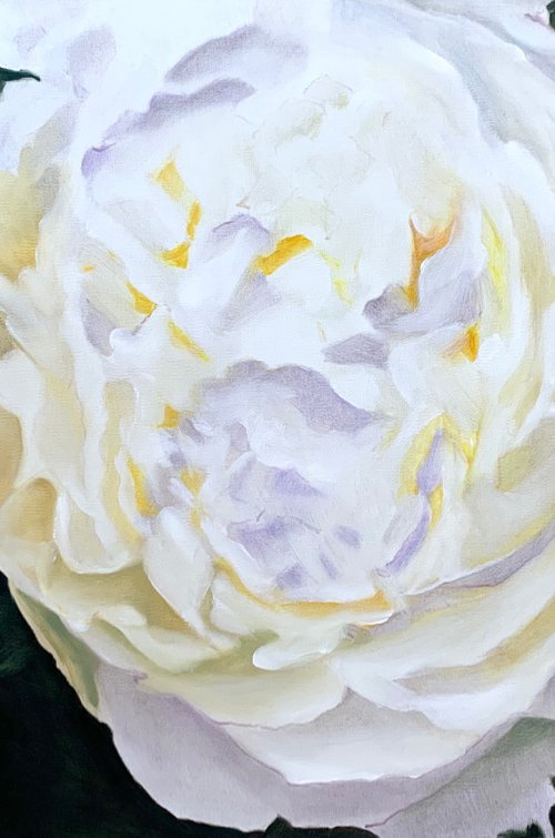 WHITE PEONIES NOSTALGIC by Ilze  Ērgle - Vanaga