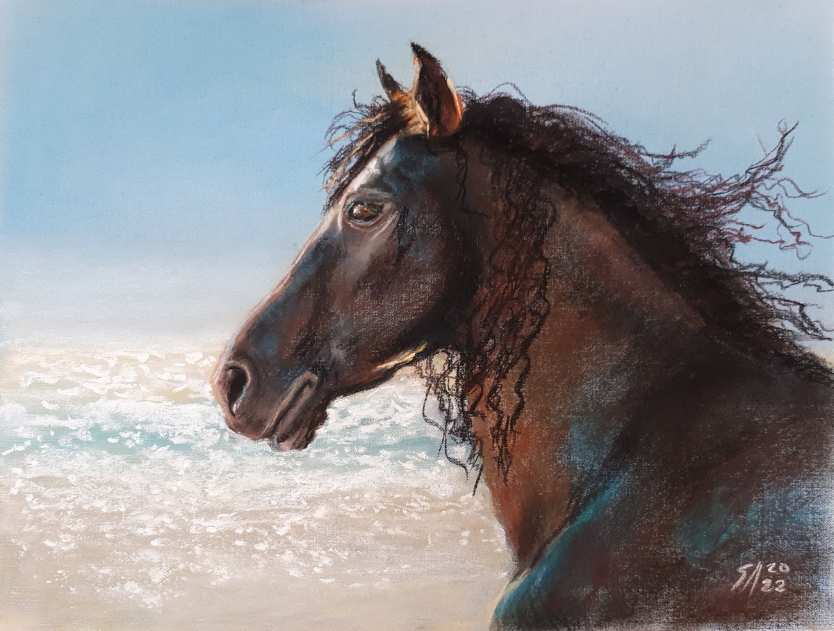 Impressionistic Pastel Drawing , Horse Iv By Salana Art / Svetlana Samovarova, 15 X 12, Artwork For Sale On Artfinder