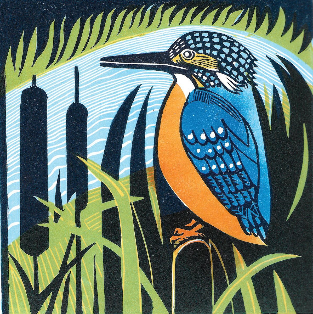 Organic Linocut , Pop By Amanda Ribbans, 9 X 9, Artwork For Sale On Artfinder