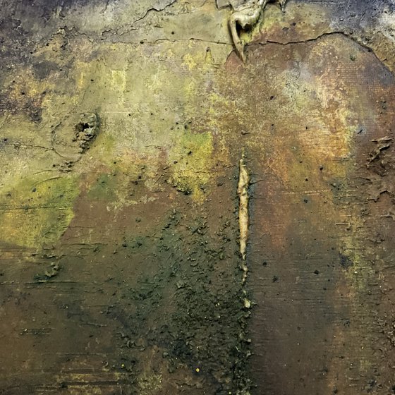 Resting In The Lichen