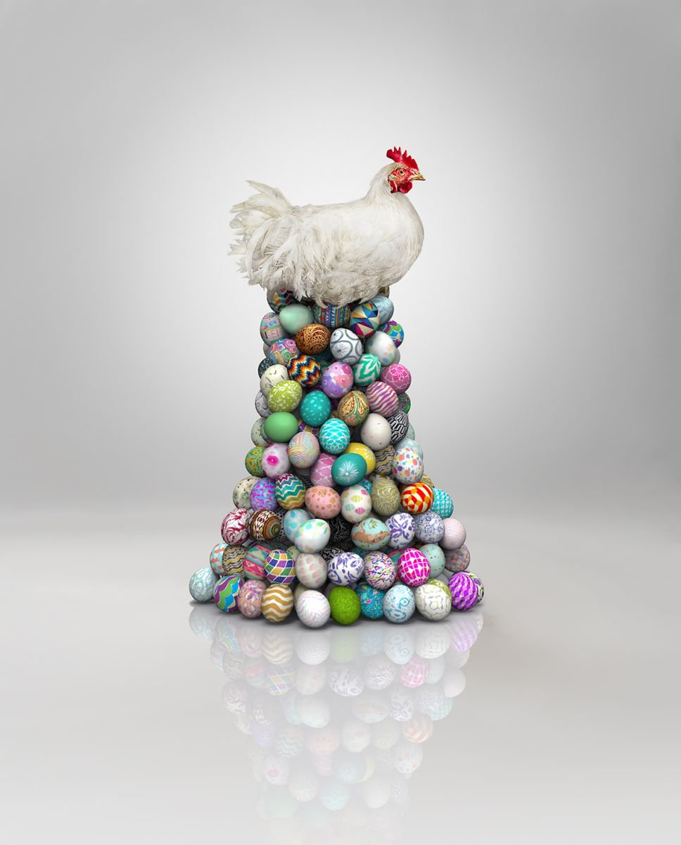 Photorealistic Animal Photograph By Gandee Vasan, 23 X 33, Chicken And Eggs, Original Artwork