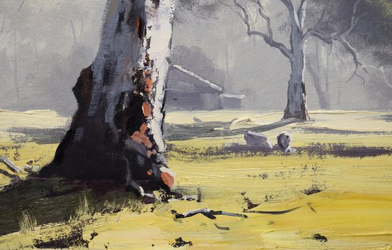 Australian Eucalyptus tree &amp; Farm shed