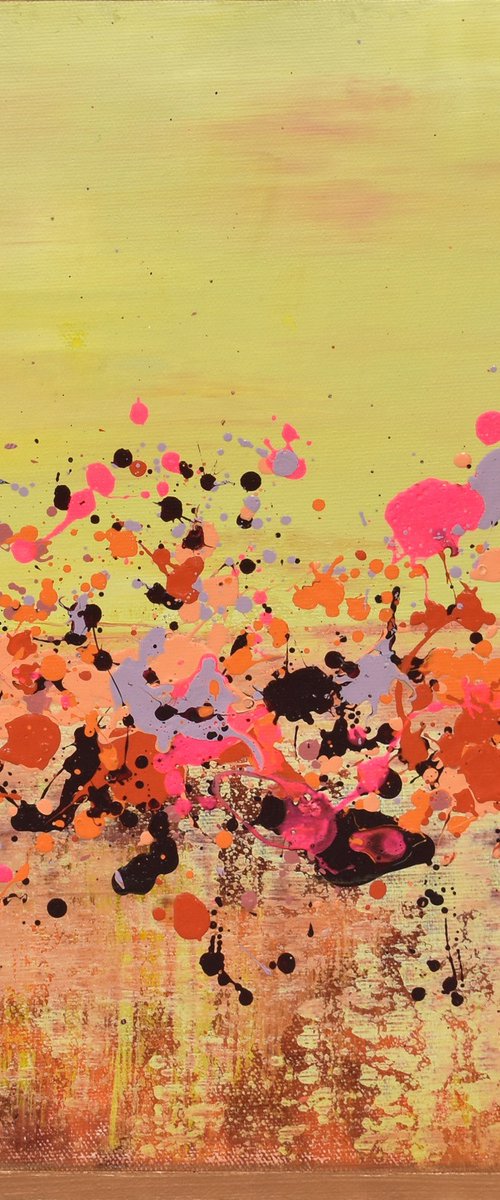 Sunkist Coral 1 by Lisa Carney