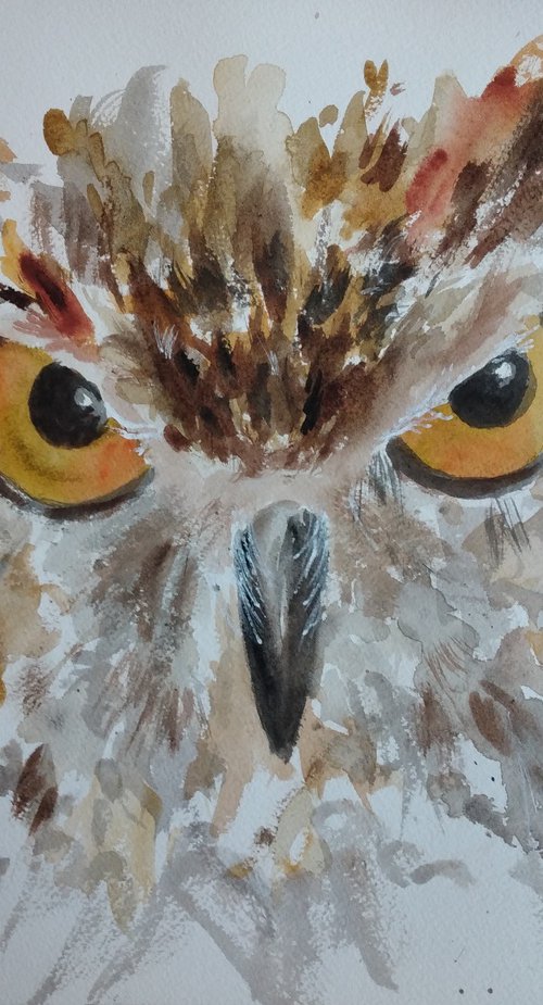 OWL by Nicolas GOIA