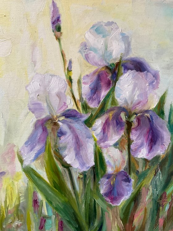 DELICATE IRISES