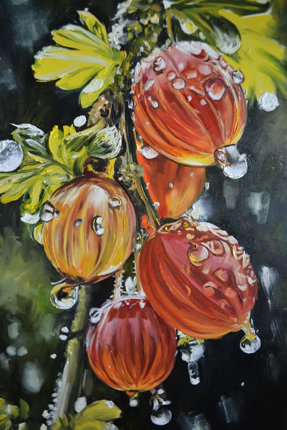 Gooseberry Lanterns